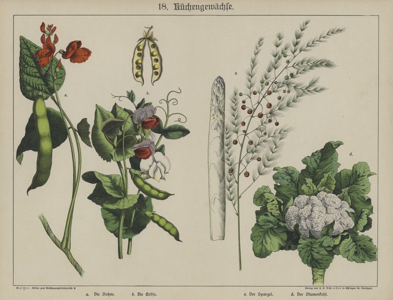 Planten door German School
