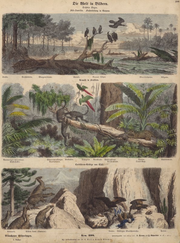 Zuid-Amerika: estuarium in Guyana; jungle in Brazilië; Chileense Andes (gekleurde gravure) door German School