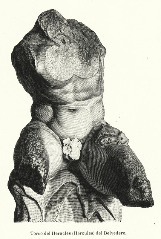 De Belvedere Torso, Romeins beeldhouwwerk traditioneel beschouwd als een voorstelling van Hercules door German School