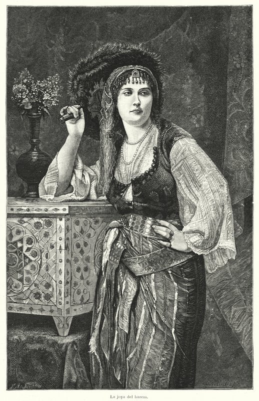 Het juweel van de harem door German School
