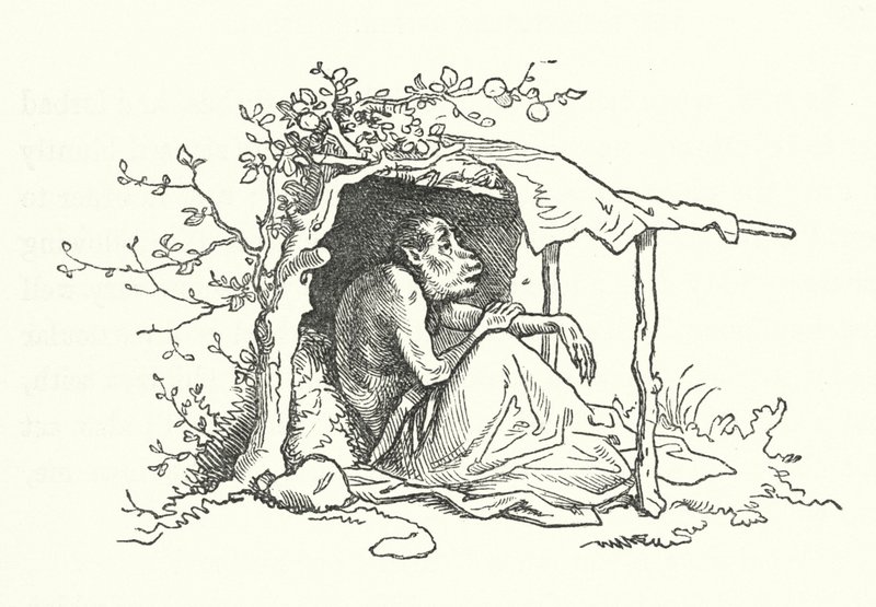 De Twee Apen (gravure) door German School