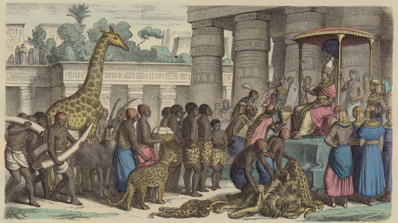 Tribuutoffers uit Ethiopië worden aan de farao van Egypte gepresenteerd (gekleurde gravure) door German School
