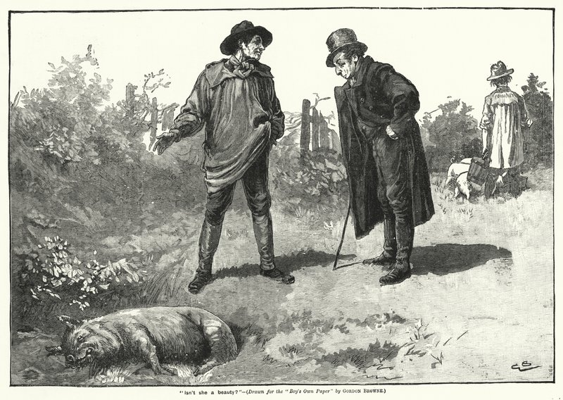 "Is ze niet mooi?" (gravure) door Gordon Frederick (after) Browne