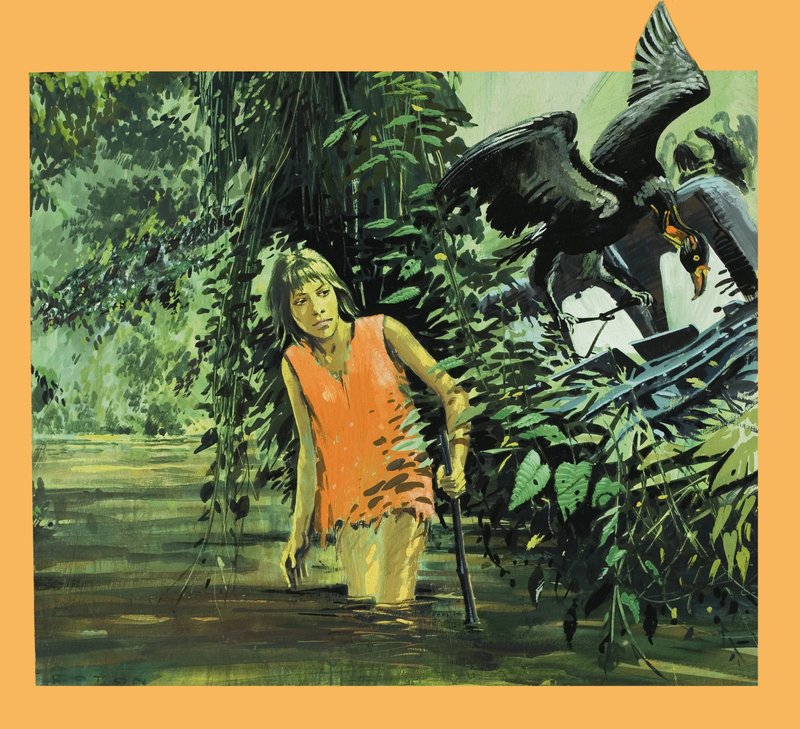 Verdwaald in de jungle door Graham Coton