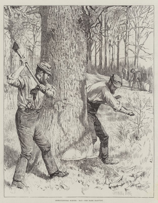 Landbouwscènes, Mei, de Schorsoogst door Gunning King