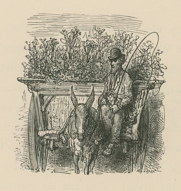 Een man die een kar met planten en bloemen bestuurt door Gustave Dore