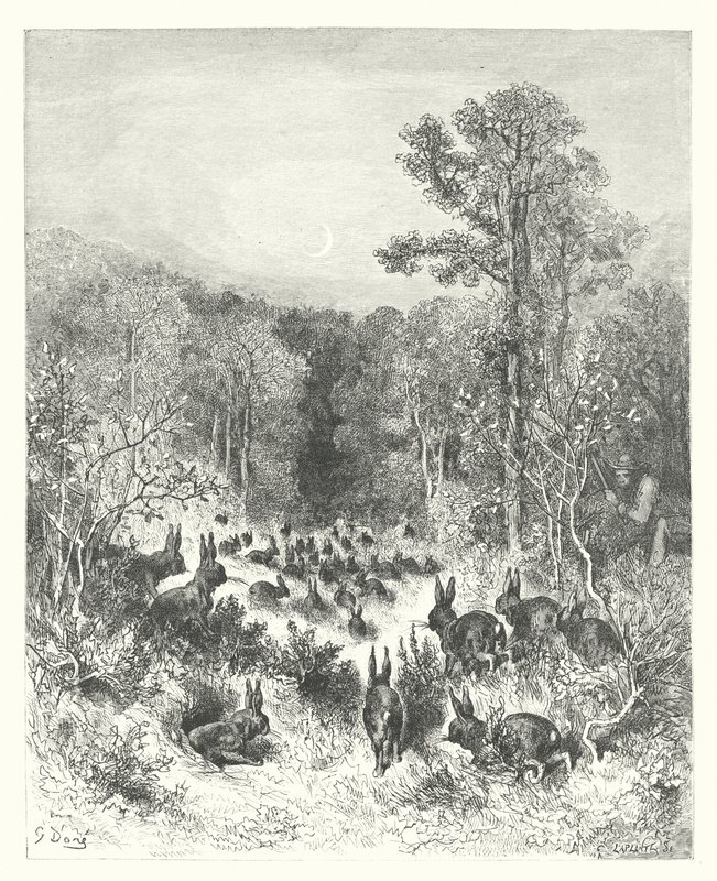 De Fabels van La Fontaine: De Konijnen door Gustave Dore