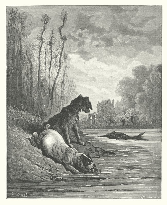 De Fabels van La Fontaine: De Twee Honden en de Dode Ezel door Gustave Dore