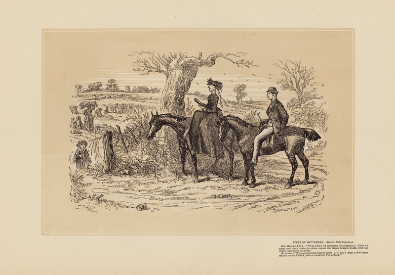 Een zeer goed veld voor reflectie door Hablot Knight (1815 92) Browne