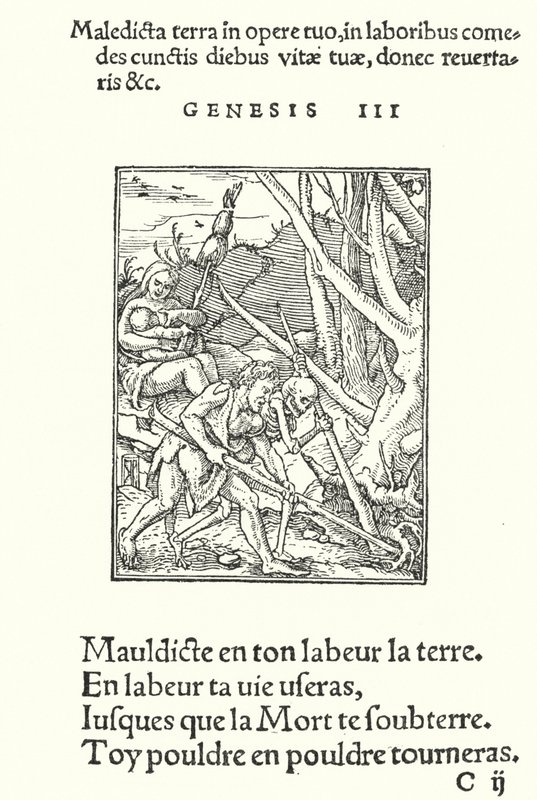 De Vloek over de Aarde en de Mens door Hans (after) Holbein the Younger