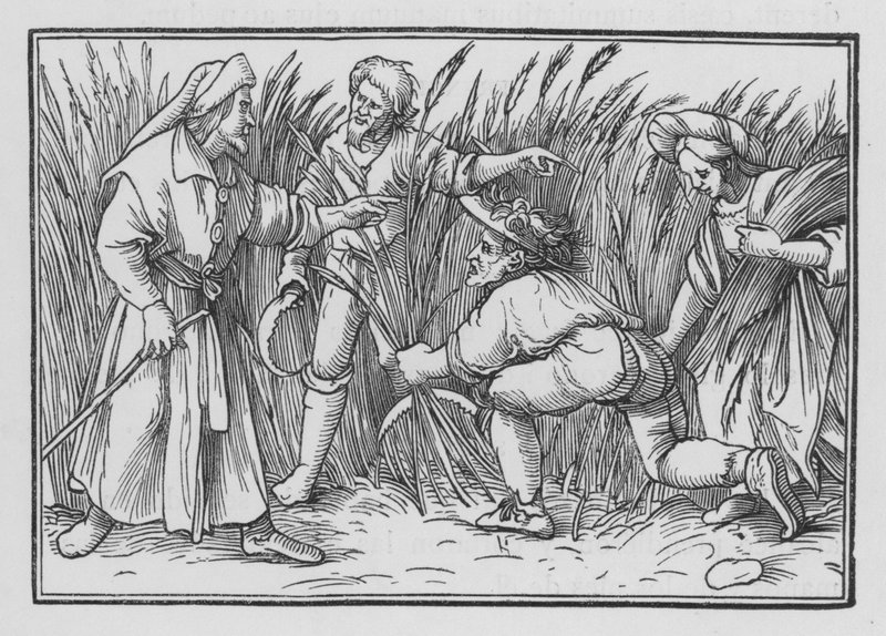 Ruth verzamelt aren in de velden van Boaz, Ruth II, 5 door Hans after Holbein the Younger