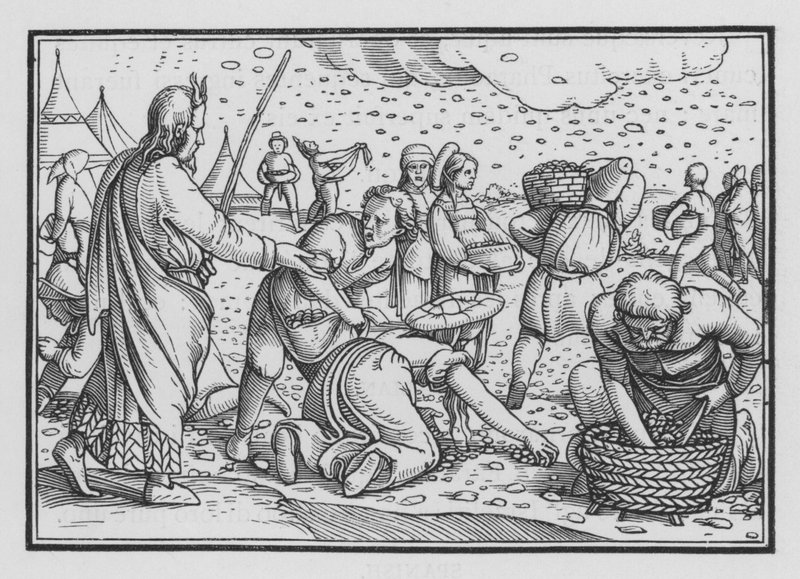 De Israëlieten mopperen vanwege gebrek aan brood, Exodus XVI, 4 door Hans after Holbein the Younger