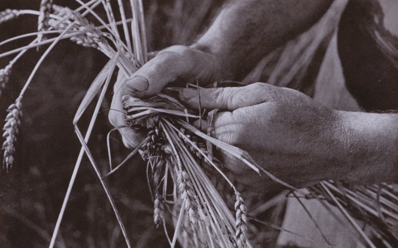 Strobanden maken door Harold Burdekin
