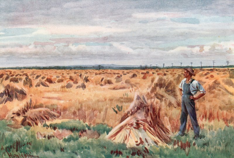 Langs de tarwevelden van Manitoba door Harold Copping