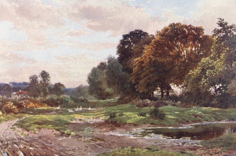 Een Hoek van Esher Common door Harold Sutton Palmer