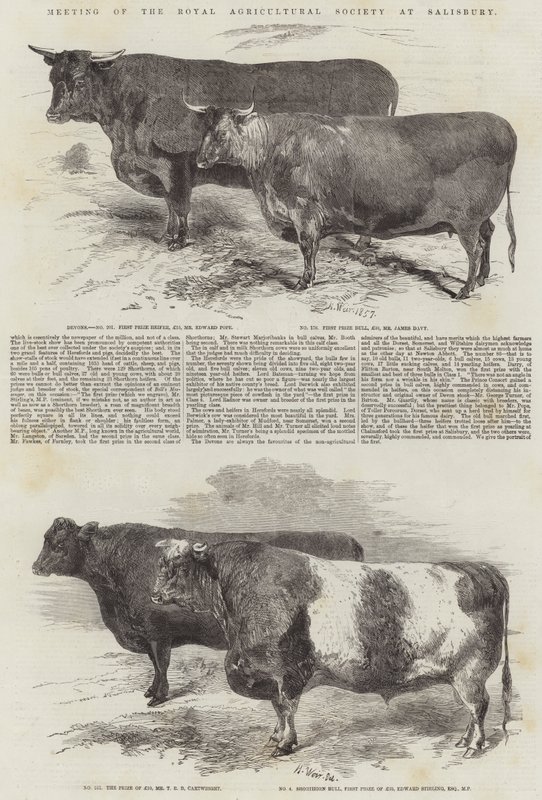 Bijeenkomst van de Koninklijke Landbouwmaatschappij in Salisbury door Harrison William Weir