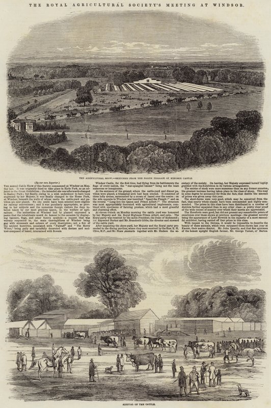 De bijeenkomst van de Koninklijke Landbouwvereniging in Windsor door Harrison William Weir