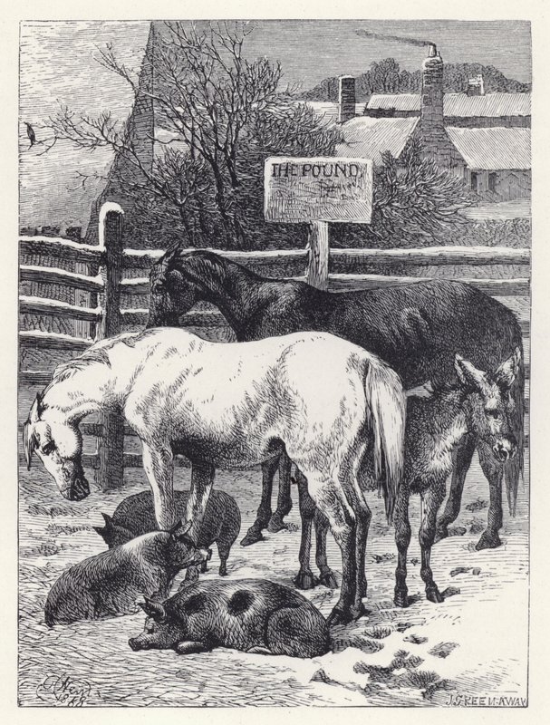 Dieren in de Kraal door Harrison William Weir