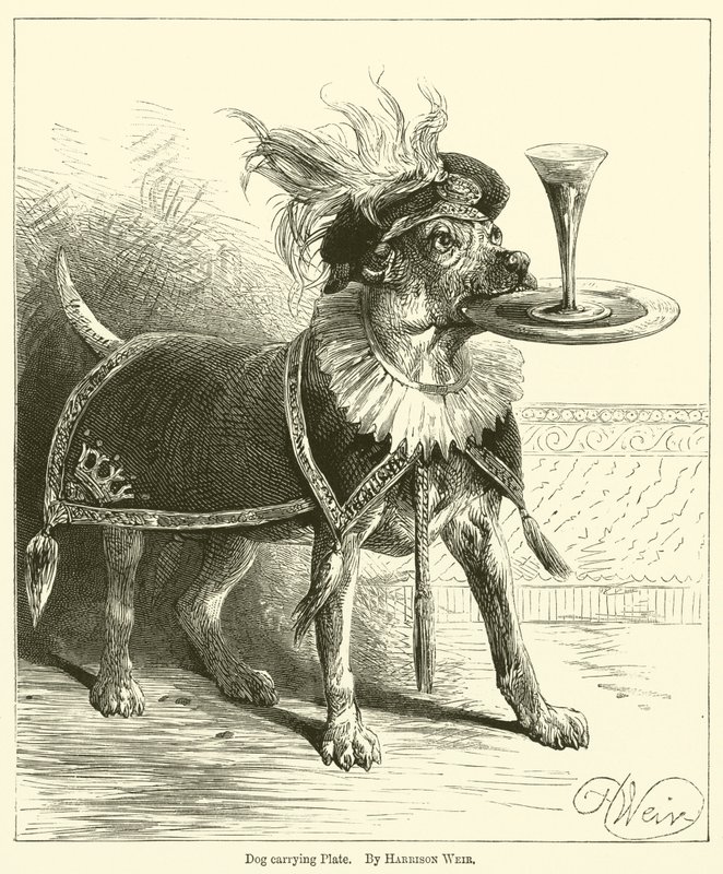Hond draagt bord door Harrison William Weir