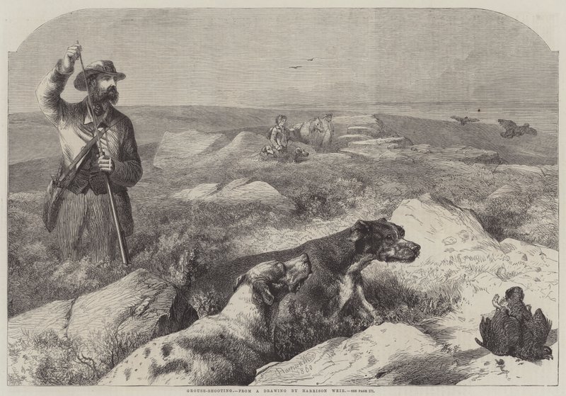 Patrijzenjacht door Harrison William Weir