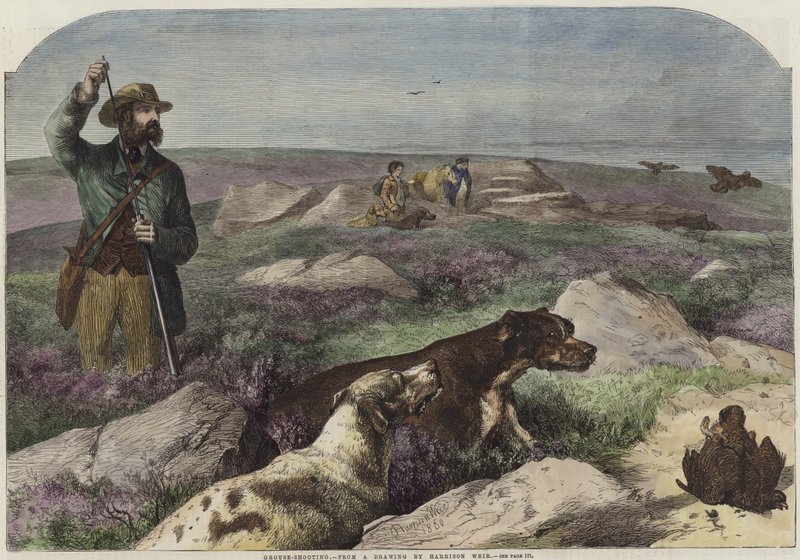 Korhoen jacht door Harrison William Weir