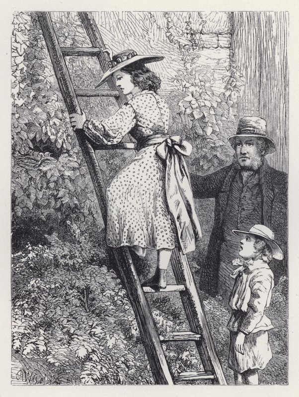 Harriet gluurt naar het nest van de roodborstjes (gravure) door Harrison William Weir