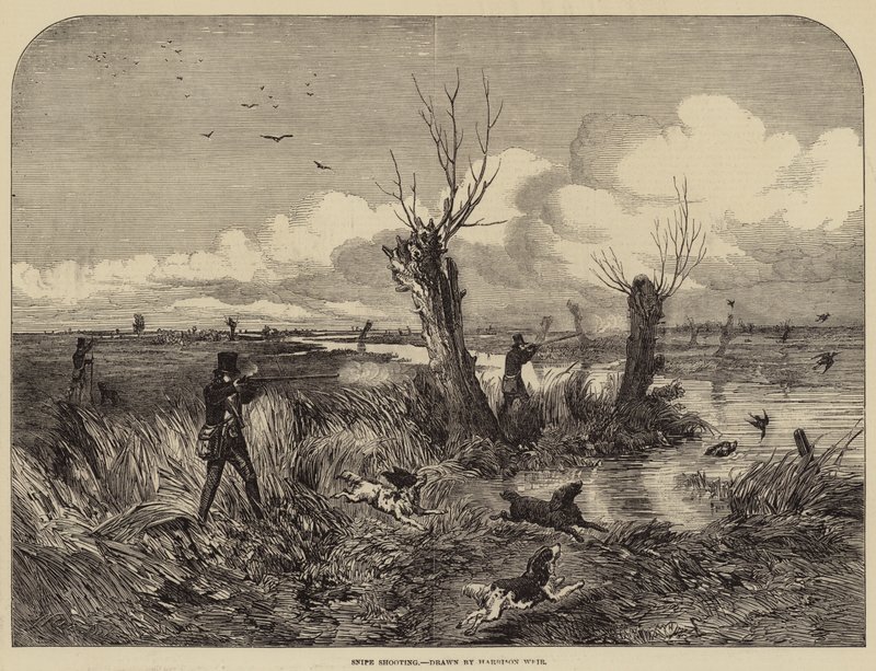 Snipjacht door Harrison William Weir