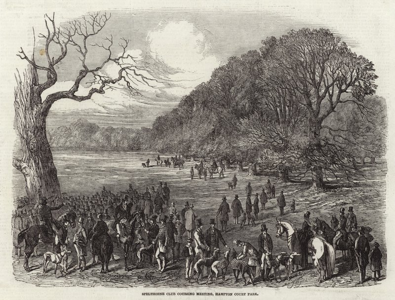 Spelthorne Club Coursing Meeting door Harrison William Weir