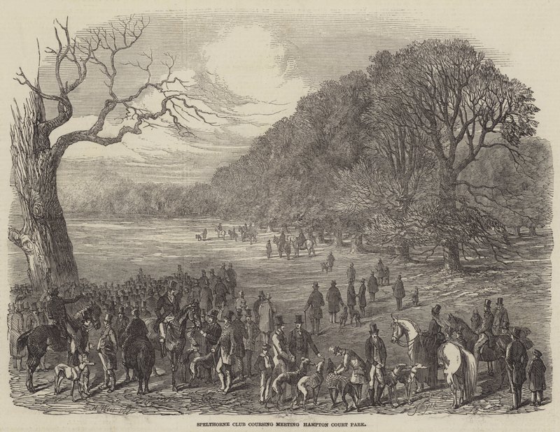 Spelthorne Club Coursing Meeting, Hampton Court Park door Harrison William Weir