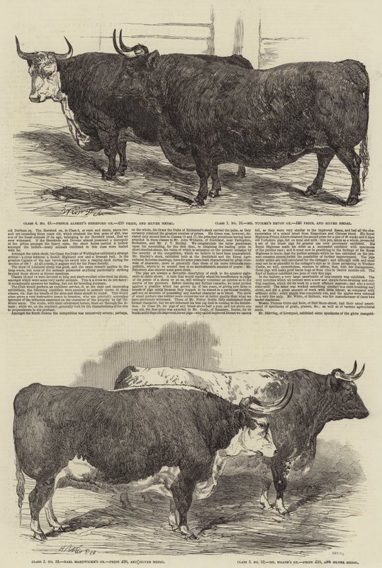 De Jaarlijkse Tentoonstelling van de Smithfield Club door Harrison William Weir