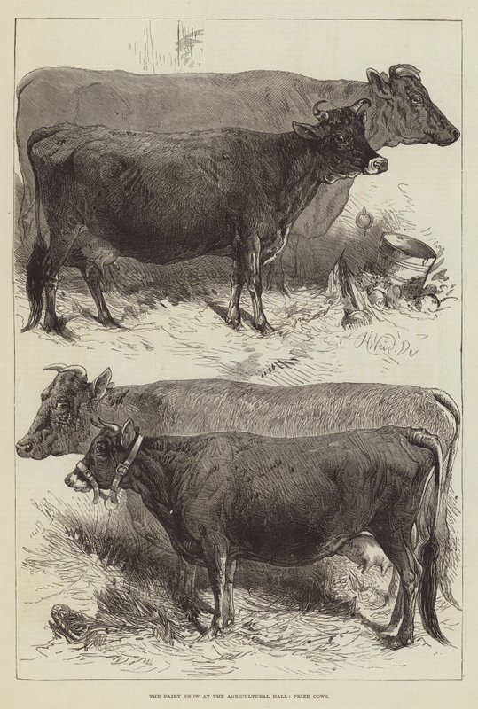 De Zuivelshow in de Landbouwhal, Prijskoeien door Harrison William Weir