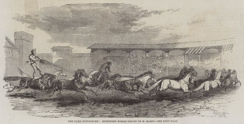 De Parijse Hippodroom, zeventien paarden bestuurd door M. Martin door Harrison William Weir