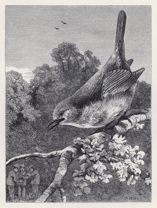 De Robin die de jongens met het nest bekijkt door Harrison William Weir