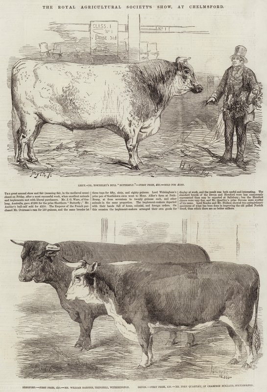 De show van de Koninklijke Landbouwmaatschappij, in Chelmsford door Harrison William Weir