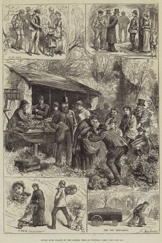 Planten weggeven aan de armen van Londen in Victoria Park door Harry Furniss