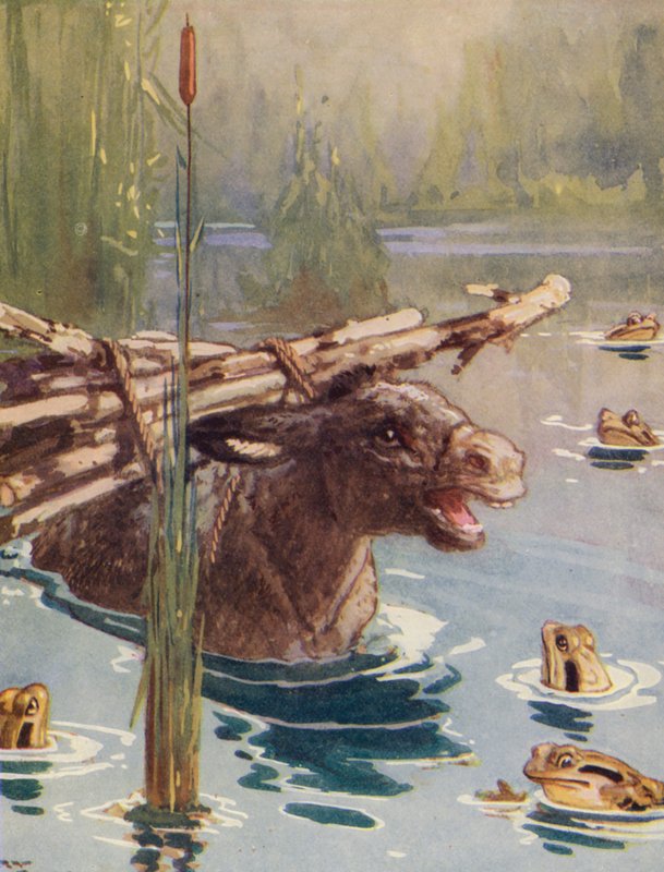 Aesopus