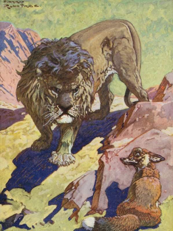 Aesopus