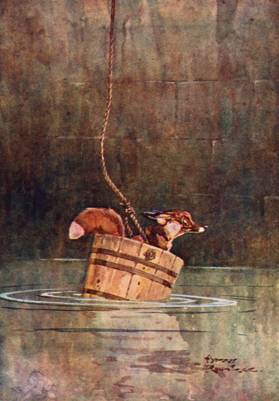 De Wolf en de Vos door Harry Rountree