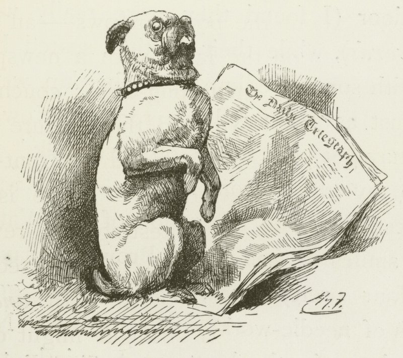 Illustratie voor Sylvie en Bruno door Lewis Carroll door Harry Furniss