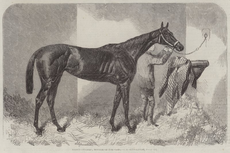 Brown Duchess, Winnaar van de Oaks door Harry Hall