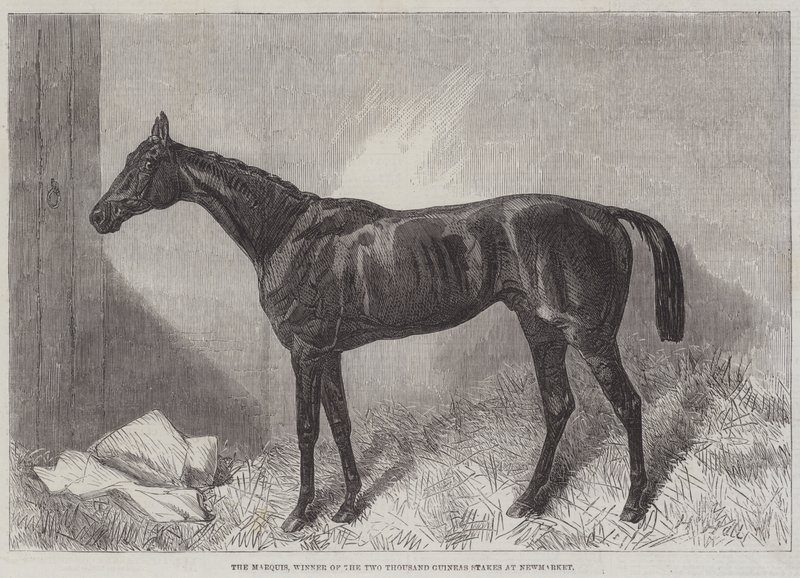 De Markies, Winnaar van de Two Thousand Guineas Stakes in Newmarket door Harry Hall