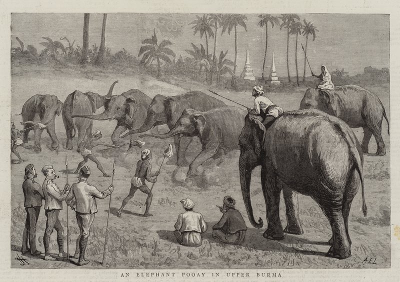 Een Olifant Pooay in Boven-Birma door Harry Hamilton Johnston