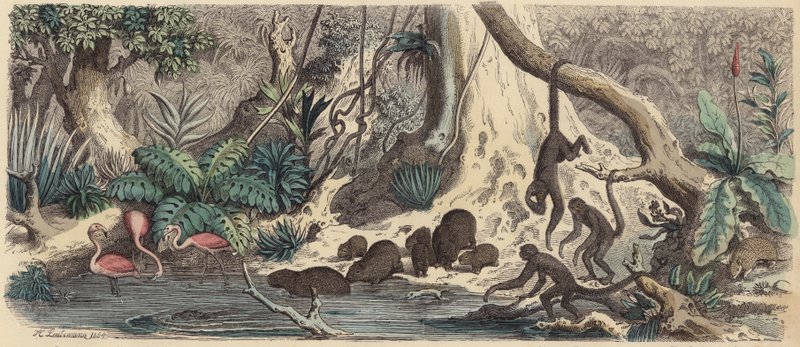 Oever in Guiana door Heinrich Leutemann
