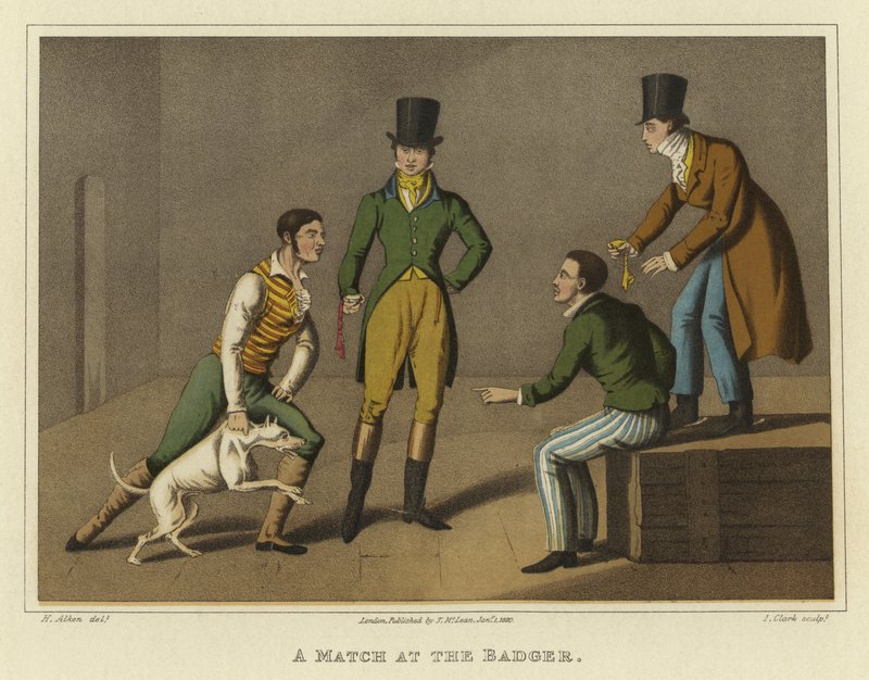 Een Wedstrijd bij de Das door Henry Thomas Alken