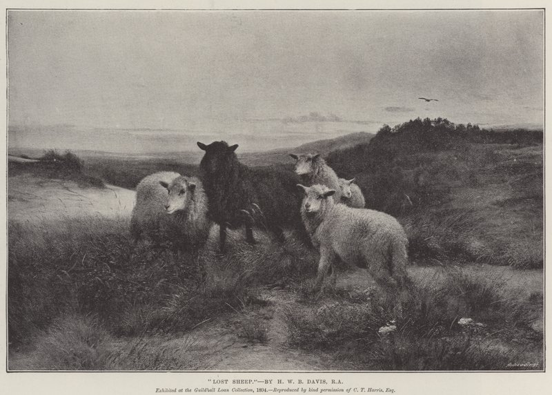 Verdwaalde Schapen door Henry William Banks Davis