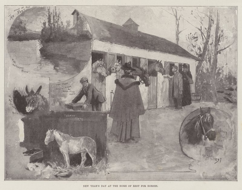 Nieuwjaarsdag in het Rusthuis voor Paarden door Henry Charles Seppings Wright