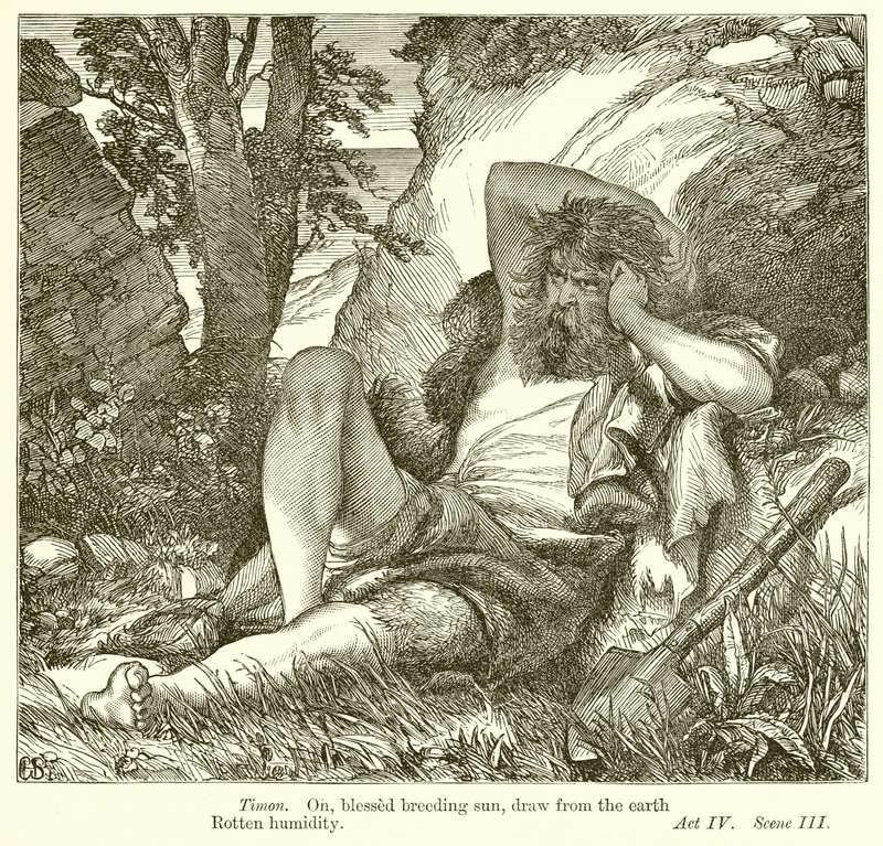 Timon van Athene door Henry Courtney Selous
