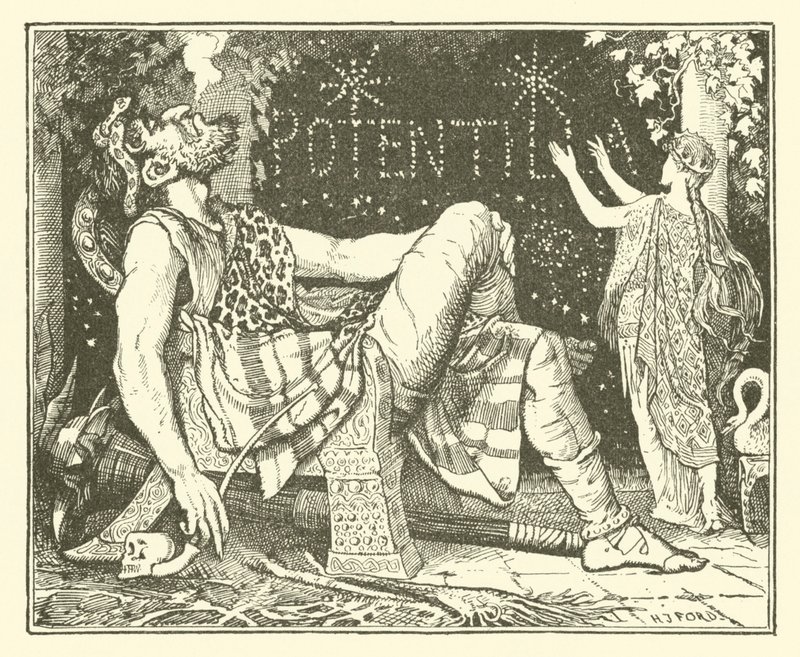 Prins Narcissus en de Prinses Potentilla door Henry Justice Ford