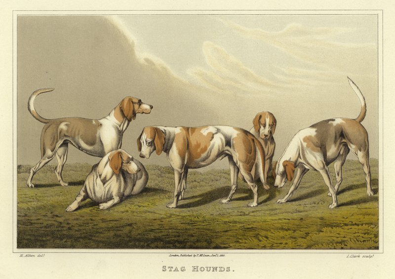 Jachthonden (chromolitho) door Henry Thomas Alken