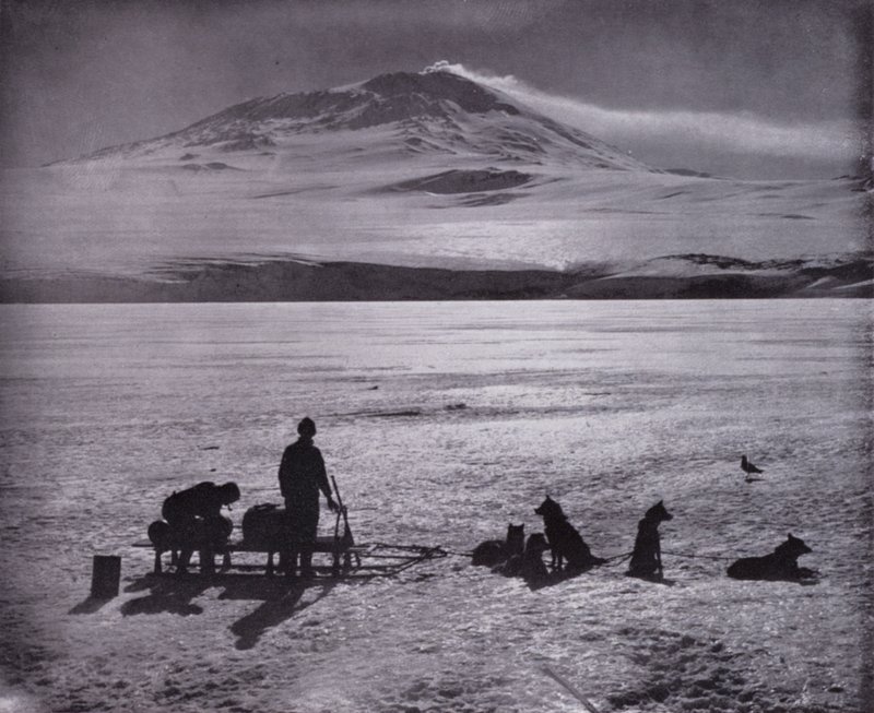 Slede en honden, met Mount Erebus op de achtergrond door Herbert Ponting